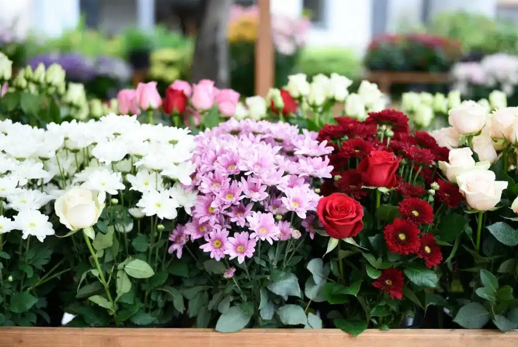 Cómo financiar un funeral en Chile